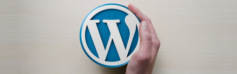 WordPress Nedir?